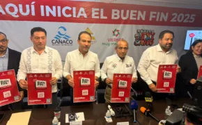 ARRANCA EL BUEN FIN 290x180 jpg