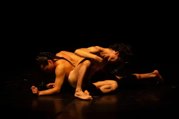 ARTISTAS 590x393 jpg