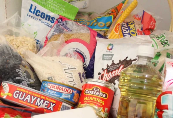 CANASTA BASICA TIENDA DE AUTO SERVICIO SUPER MERCADO 590x404 jpg