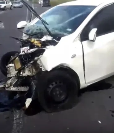 IMG 0051 368x430 jpeg