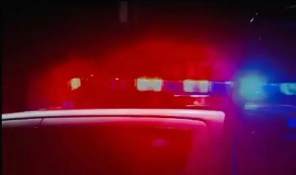 IMG 0101 590x349 jpeg