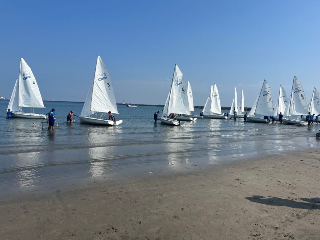 Imagen de WhatsApp 2025 11 21 a las 13.05.03 0b39d76f