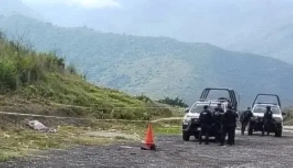 MALTRATA 590x339 jpg