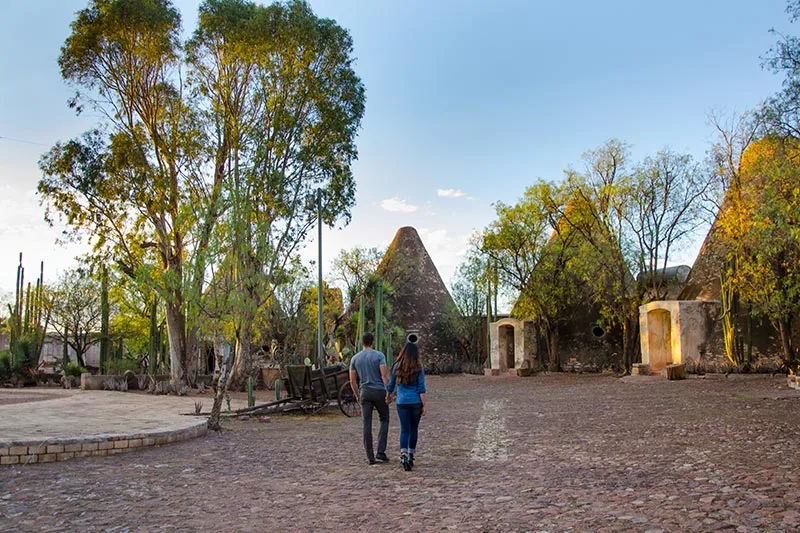 ZACATECAS conos grande