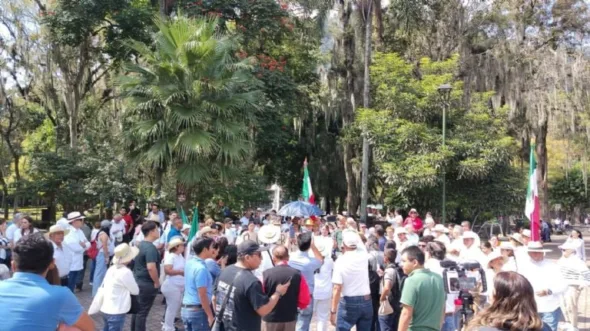 f768x1 806537 806664 5050 590x331 jpeg