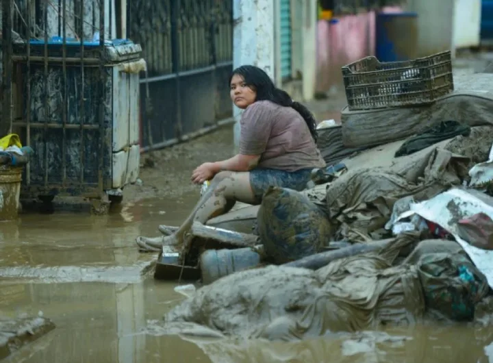 f850x638 233312 310801 5050