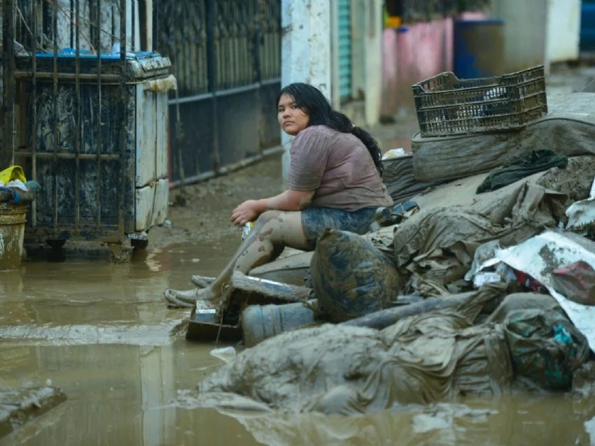 f850x638 233312 310801 5050