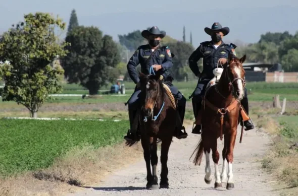fuerzas rurales 1024x676 1 590x389 jpg