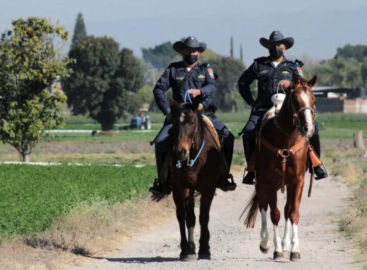 fuerzas rurales 1024x676 1