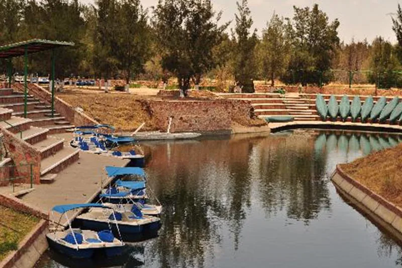 ZACATECAS losjales grande