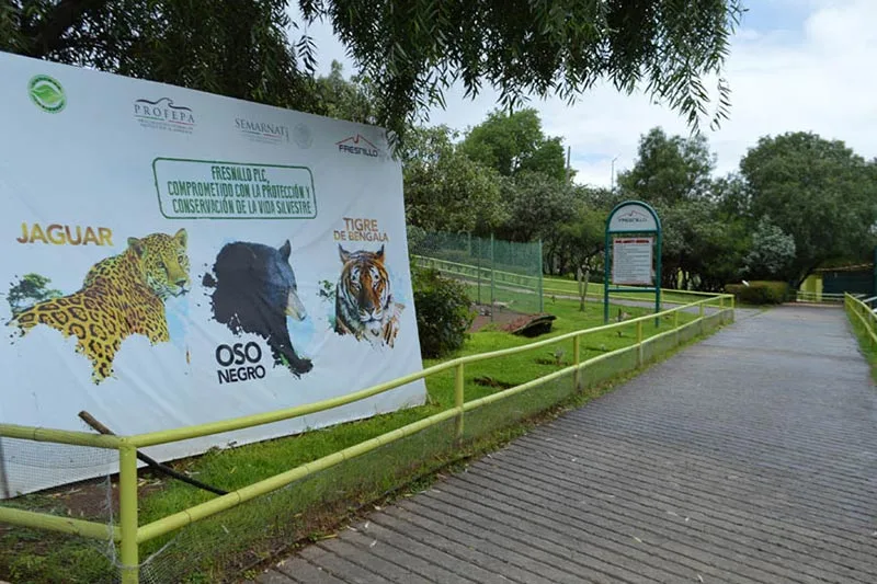 ZACATECAS museomineria grande