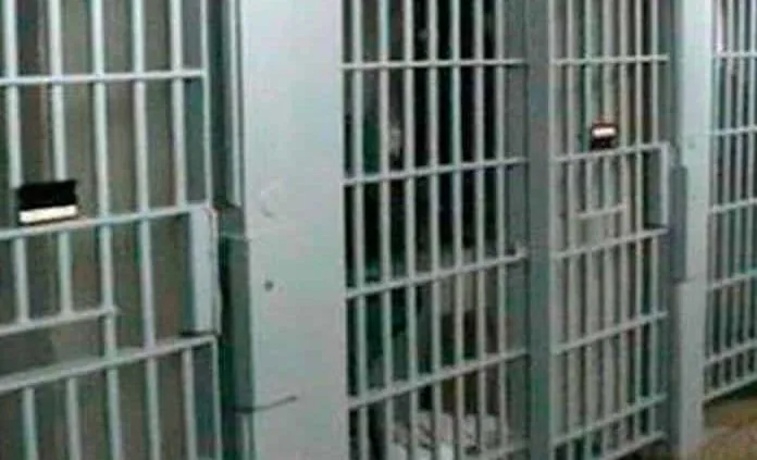 penal 123540769 jpeg