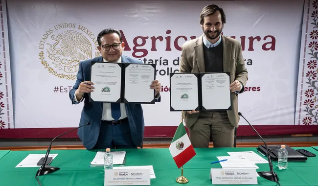 post 250625 PREMIO INTERNACIONAL KHALIFA PARA LA PALMA DATILERA 19 jpg