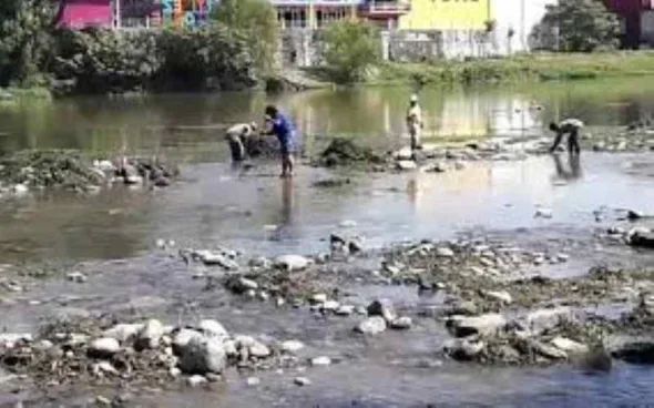 rio bobos 590x368 jpg