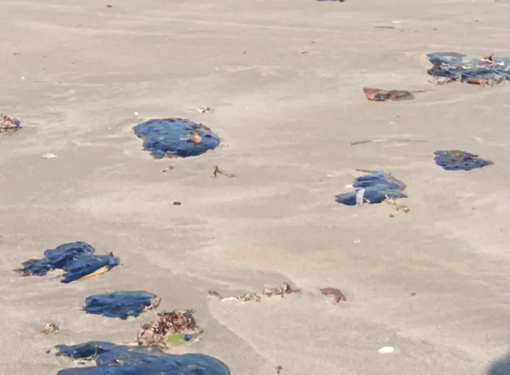 1399935xeu20251216153703