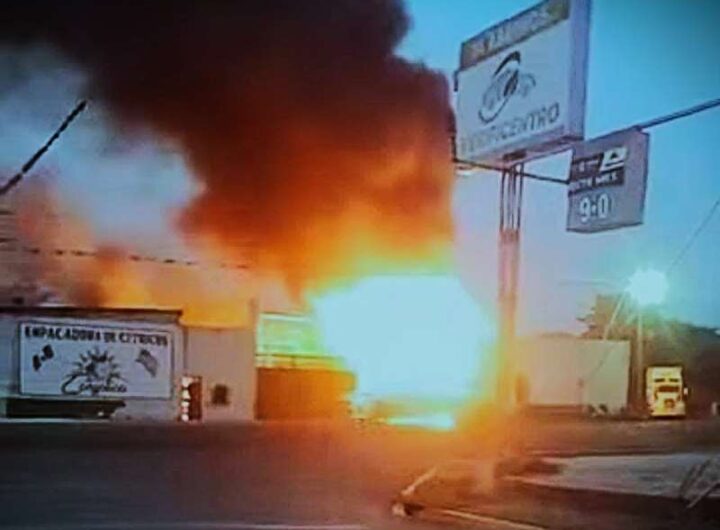 603044653 1442907617838703 5087638821168187229 n