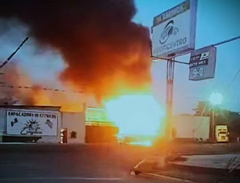 603044653 1442907617838703 5087638821168187229 n jpg