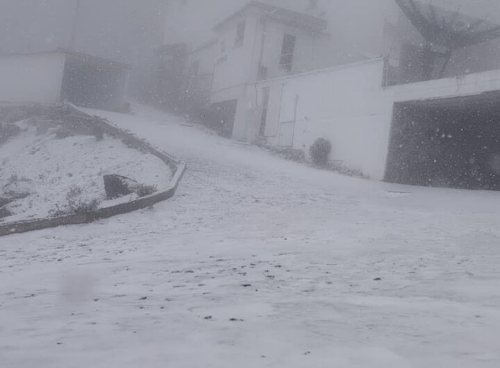 605008493 1450352750424603 2760699376147816081 n