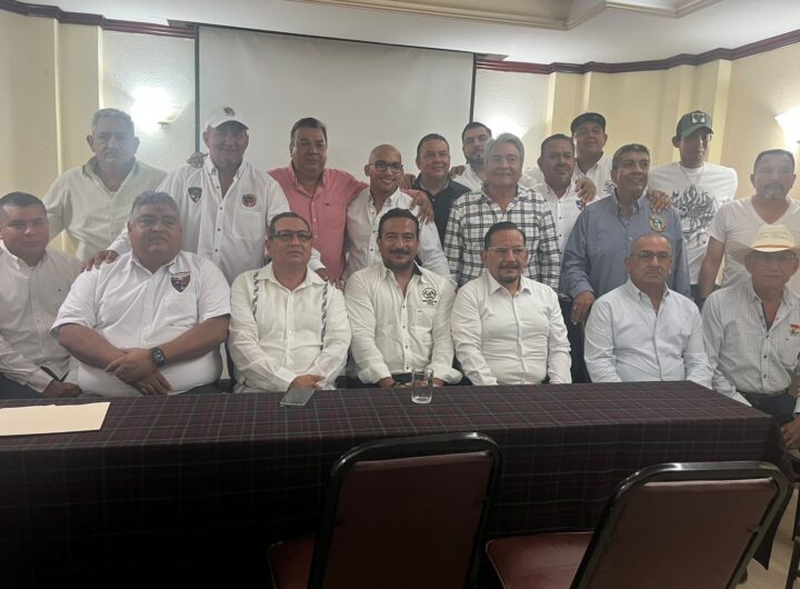 Imagen de WhatsApp 2025 12 02 a las 18.15.15 ddd962b3