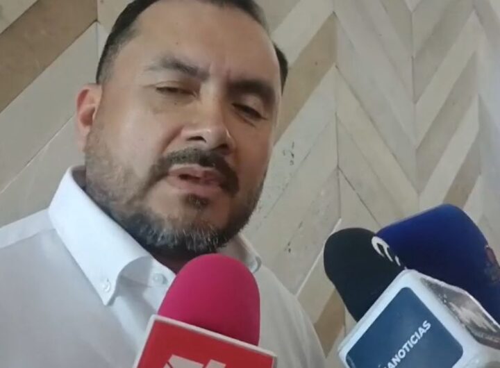 Imagen de WhatsApp 2025 12 04 a las 15.53.18 c443ea91