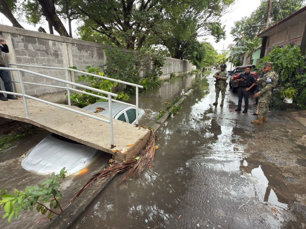 Imagen de WhatsApp 2025 12 08 a las 21.29.08 1df4819a