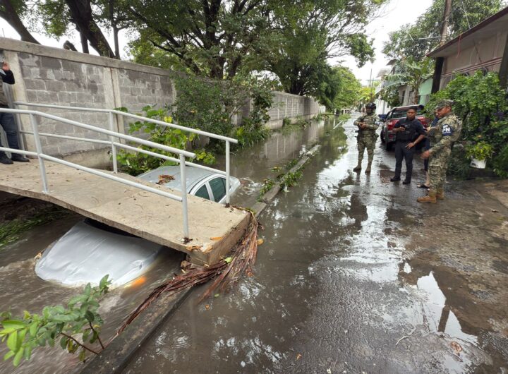 Imagen de WhatsApp 2025 12 08 a las 21.29.08 1df4819a