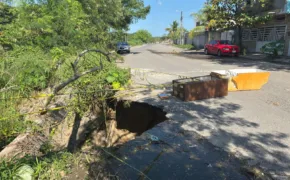 Imagen de WhatsApp 2025 12 12 a las 21.13.59 bf430354 290x180 jpg