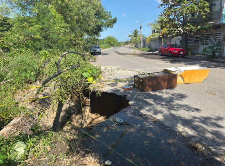 Imagen de WhatsApp 2025 12 12 a las 21.13.59 bf430354