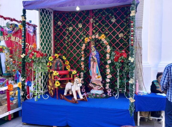 Imagen de WhatsApp 2025 12 12 a las 21.17.46 2acd9080