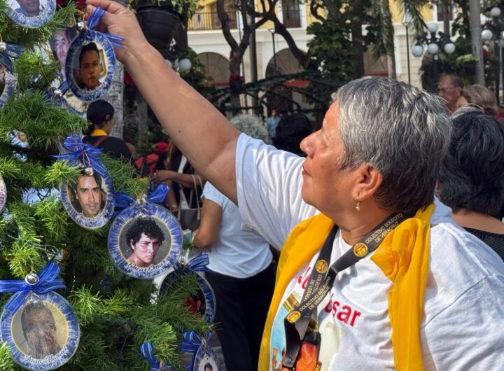 WhatsApp Image 2025 12 19 at 11.22.58 AM