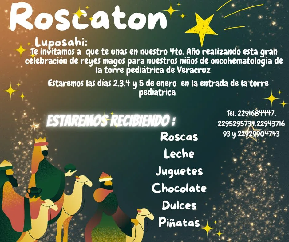 WhatsApp Image 2025 12 30 at 10.10.25 AM jpeg