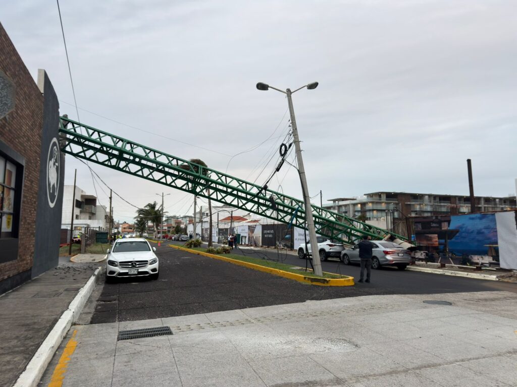 WhatsApp Image 2025 12 30 at 9.00.37 PM