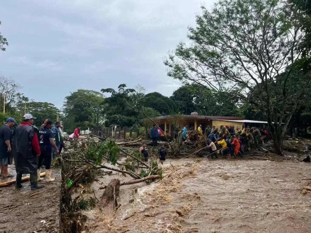 image 2025 12 26T112606.412