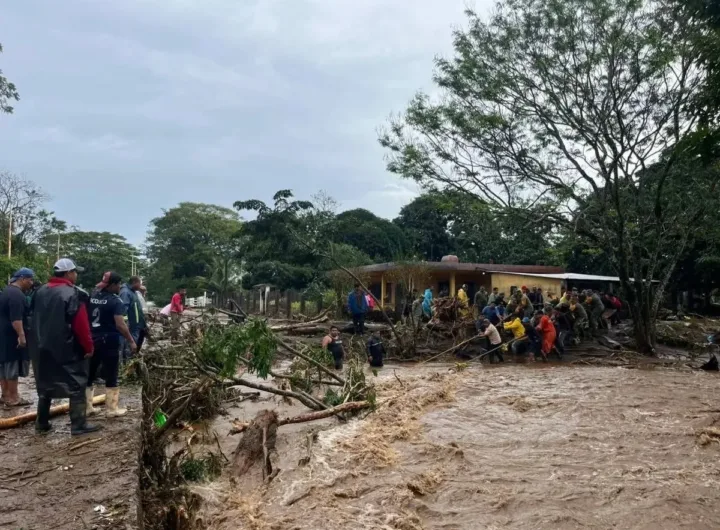 image 2025 12 26T112606.412