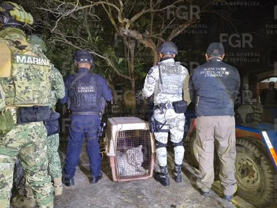 23310 2168p9epjy jpg