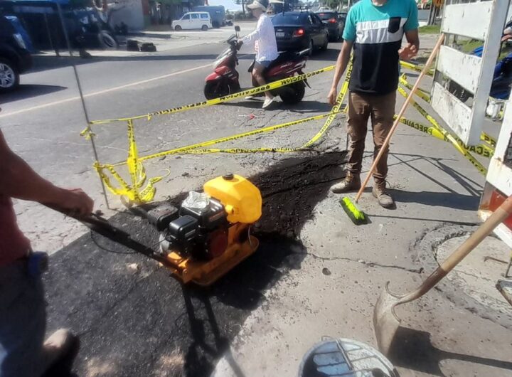 4181de55 a328 482c b693 f571c585ab50