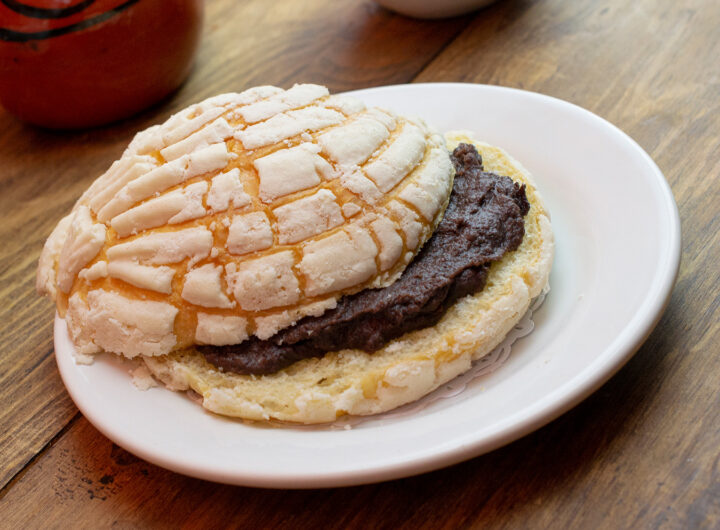 486503792 1053645443463412 5272284128294190896 n