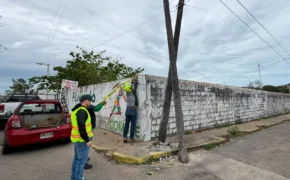 8e982b75 708e 41bc 82d1 d01ebcd45150 290x180 jpeg