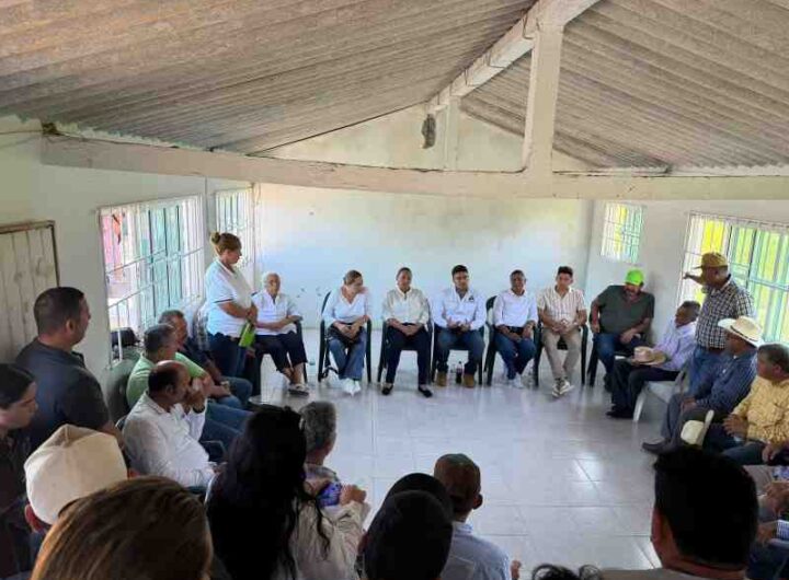 WhatsApp Image 2026 01 04 at 12.18.50 AM