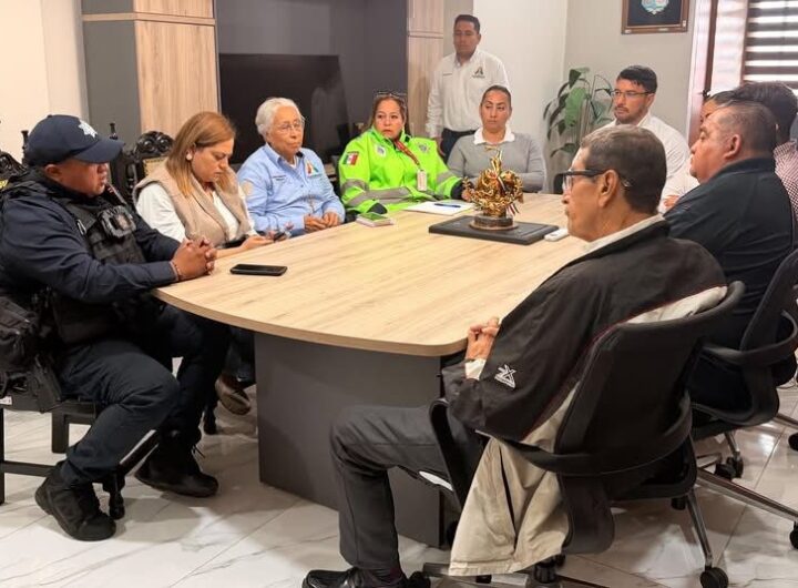 WhatsApp Image 2026 01 29 at 3.50.49 PM