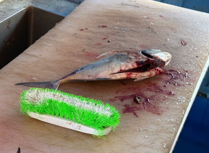 adbc34a0 eedf 4f35 9e9e 1add95cd6301