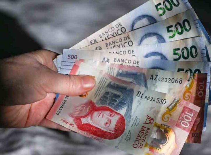 cuanto ganaras en 2026 asi queda el salario minimo en veracruz 687586