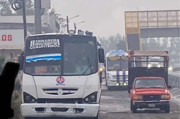 descarga 1 1 590x393 jpg