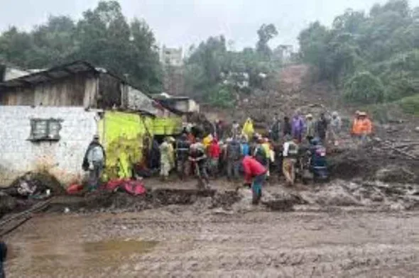 images 9 590x392 jpg