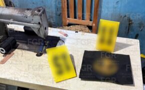 whatsapp_image_2026-01-19_at_15_50_23