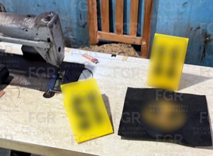 whatsapp image 2026 01 19 at 15 50 23