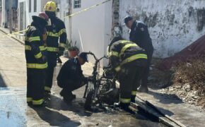 1eee7107-ed31-4d02-8762-a4764e9caa9e