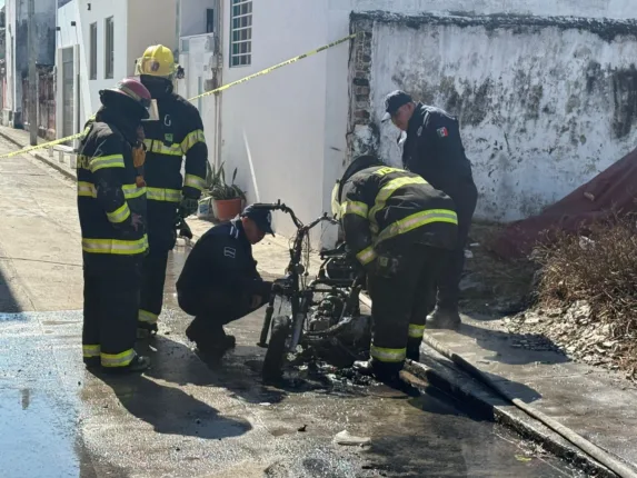 1eee7107 ed31 4d02 8762 a4764e9caa9e 573x430 jpeg