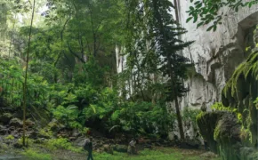 612331671 1314271790740775 379372076220861333 n 290x180 jpg