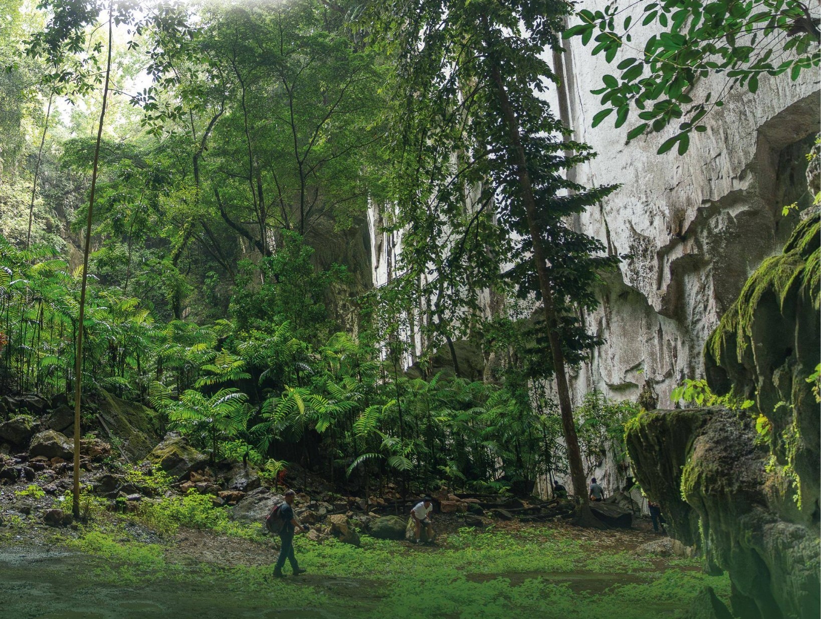 612331671 1314271790740775 379372076220861333 n